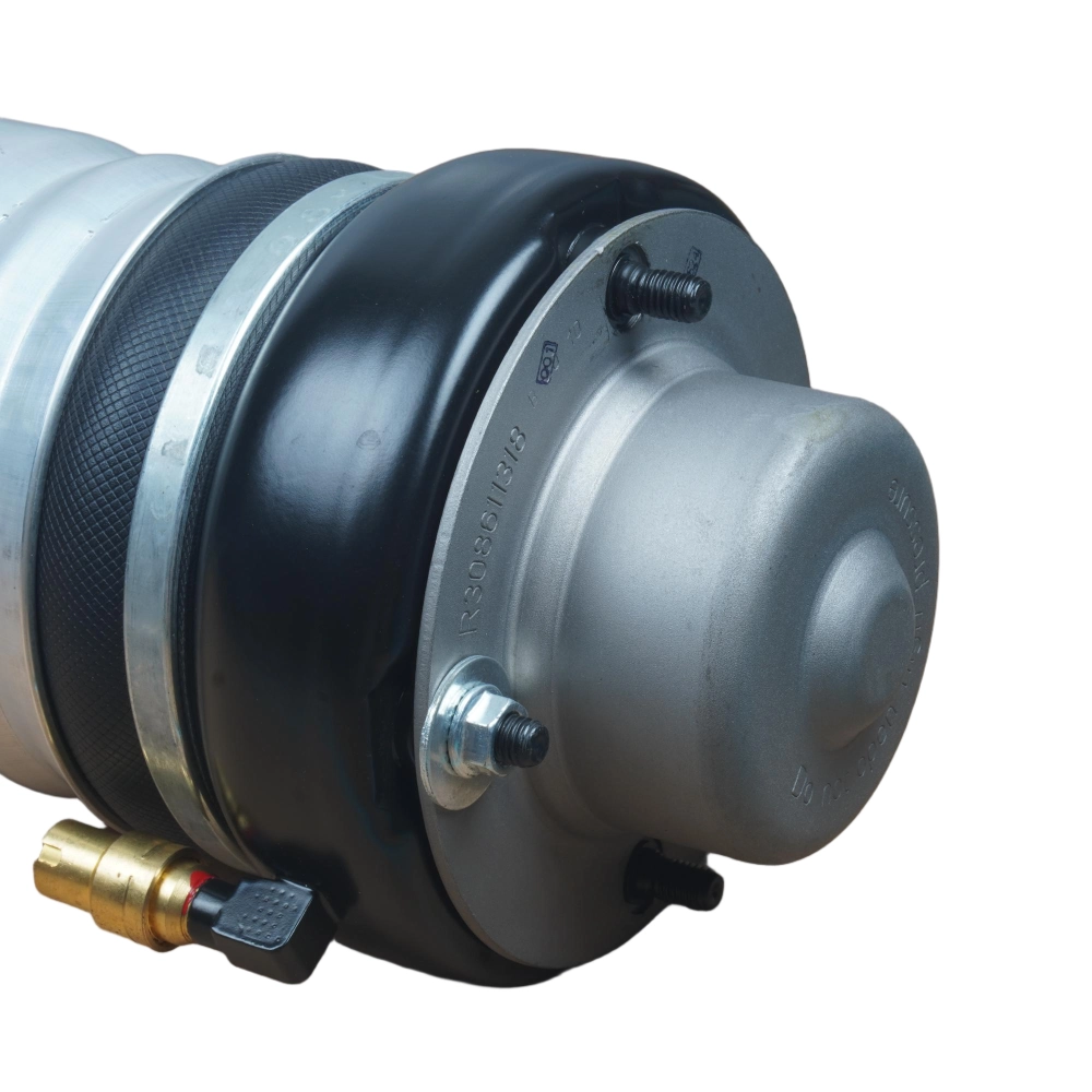 Audi A6 OEM air suspension strut module