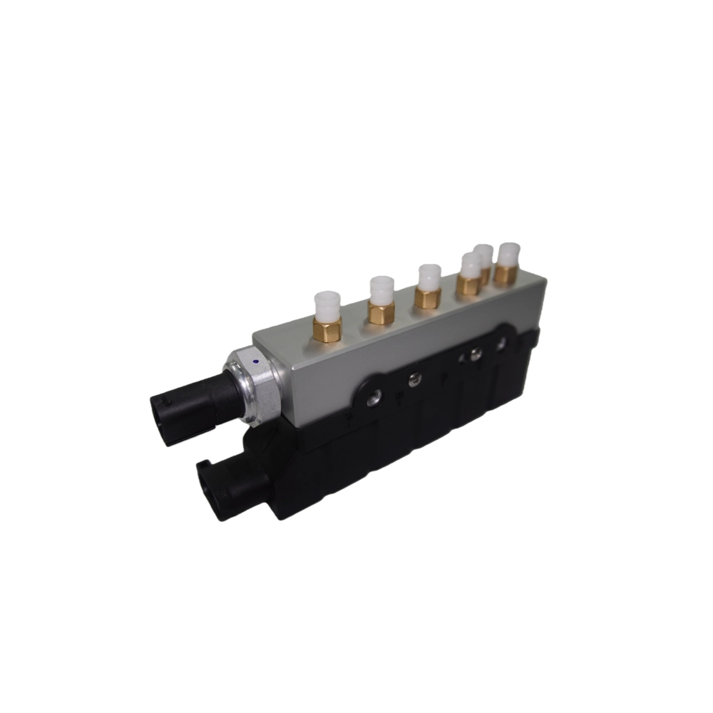 Mercedes S-Class valve block W220