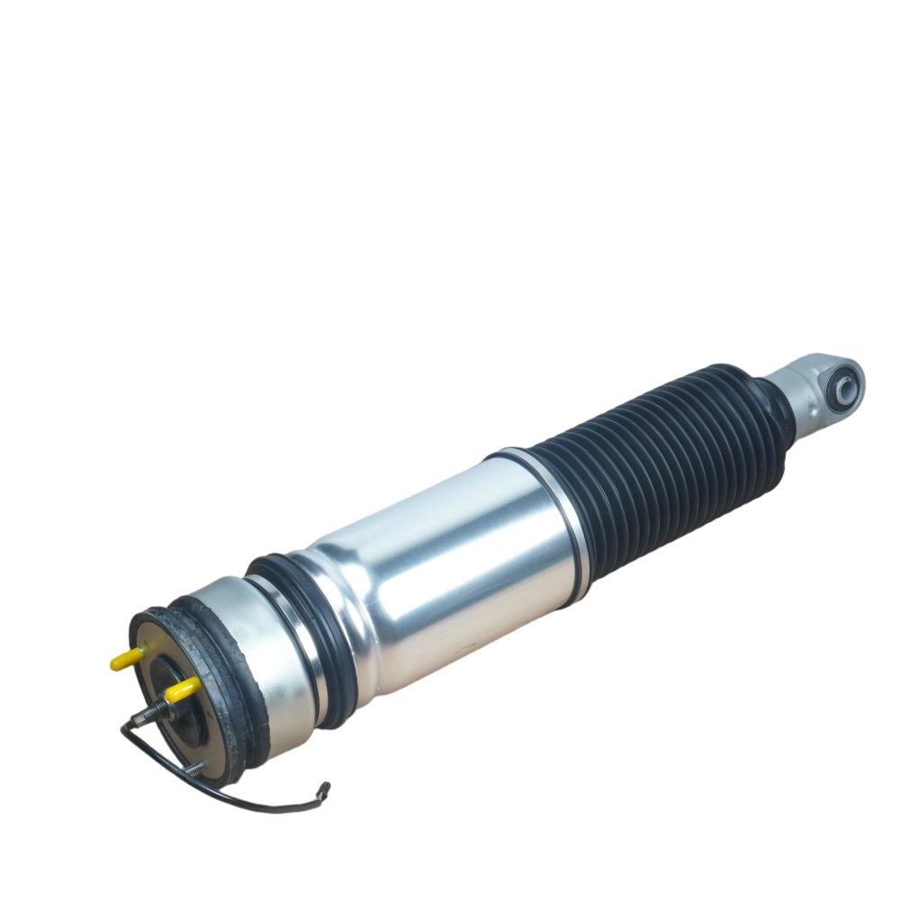 OEM BMW rear left air suspension bag