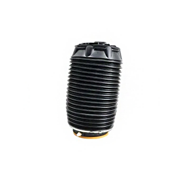 Hyundai air spring replacement rear left unit