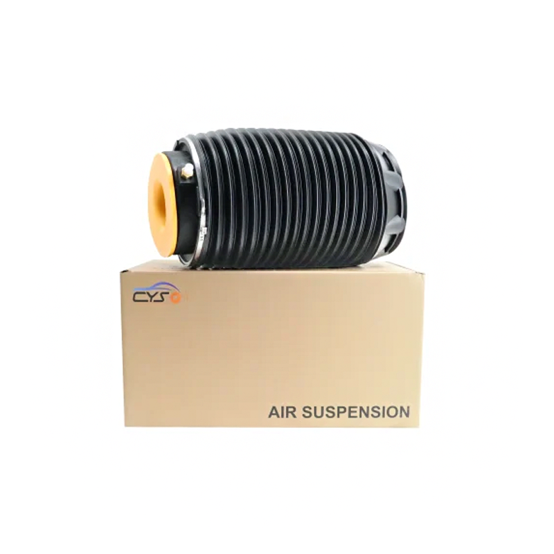 Hyundai Genesis rear suspension air bag kit