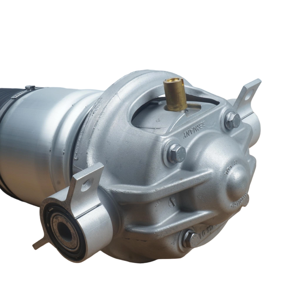 Touareg rear air spring replacement unit
