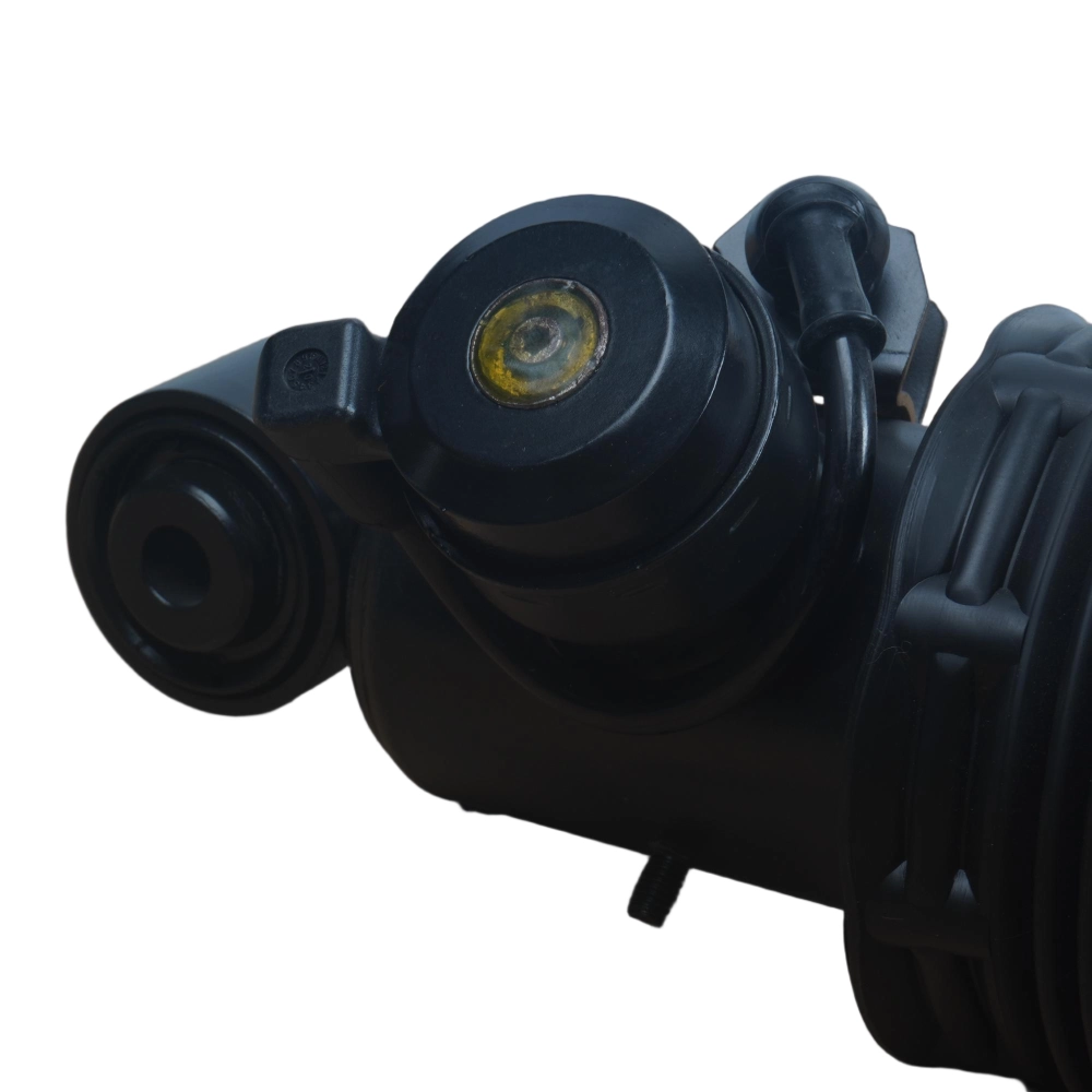 Touareg rear suspension comfort air spring