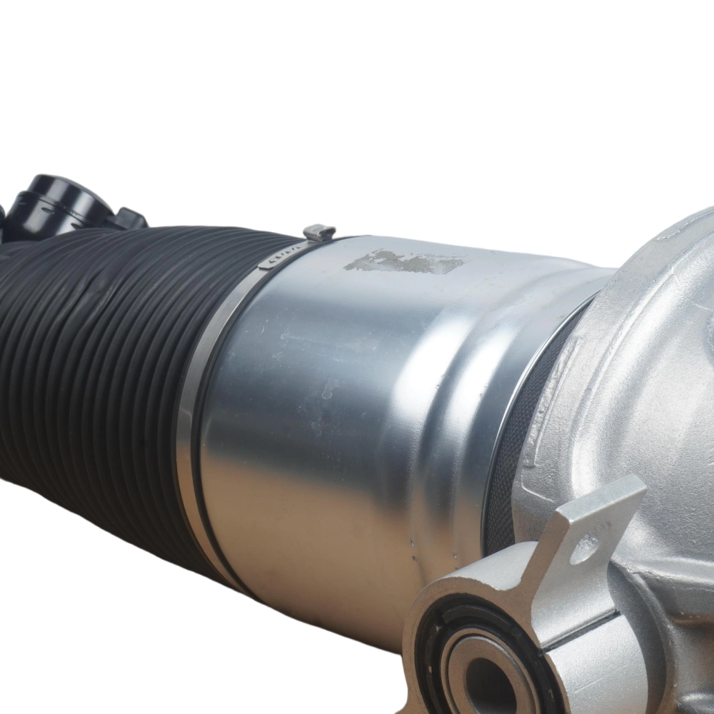 Rear Left Air Suspension Replacement Strut Kit
