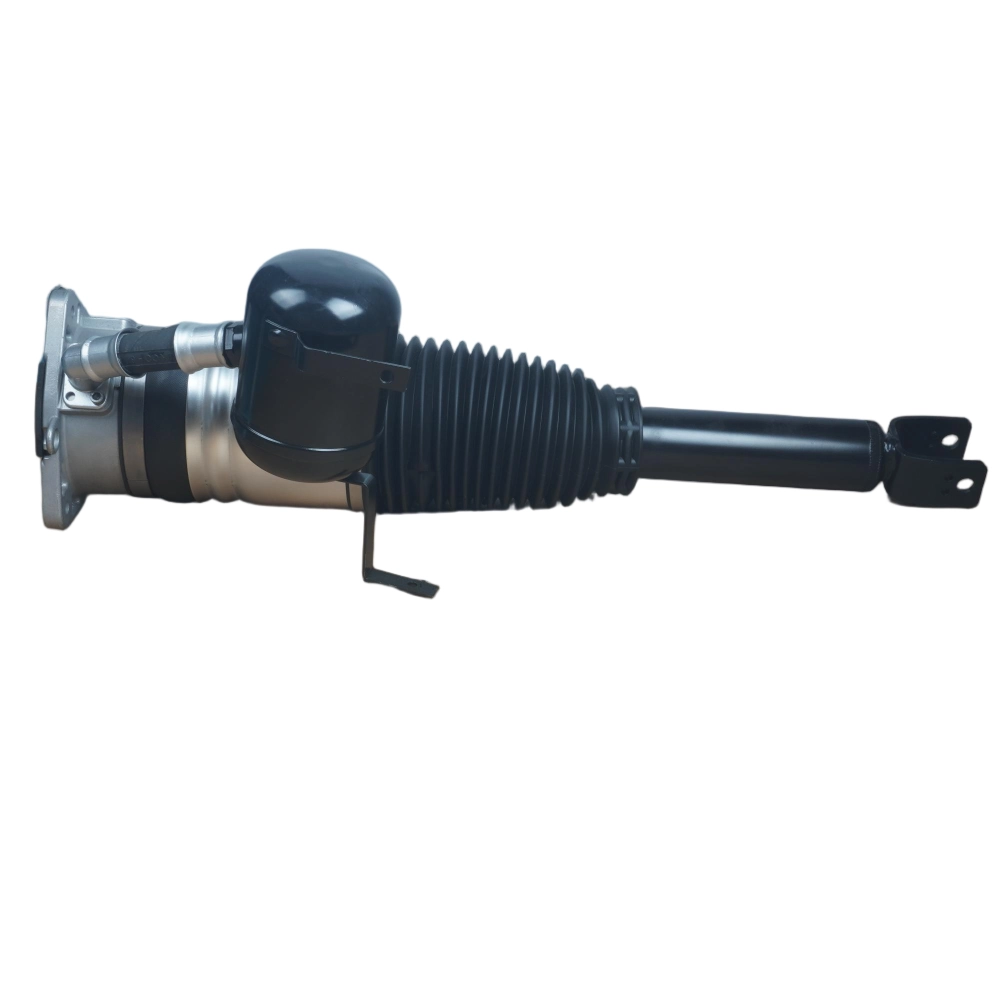 Audi A8 D3 rear air suspension unit