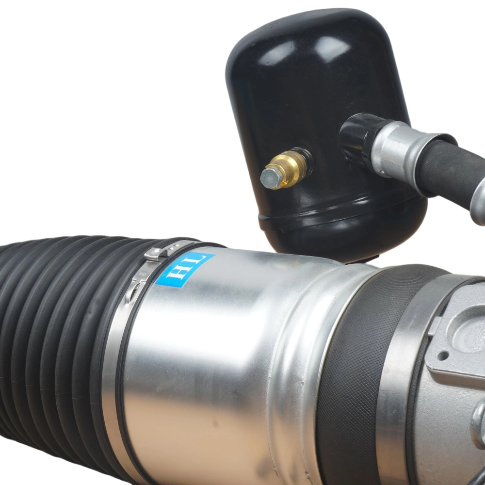 Audi D3 4E rear air shock absorber