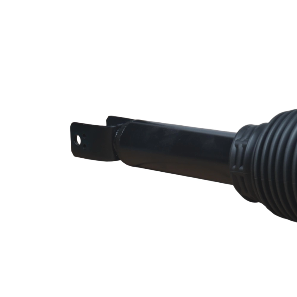 Audi S8 rear damping air strut
