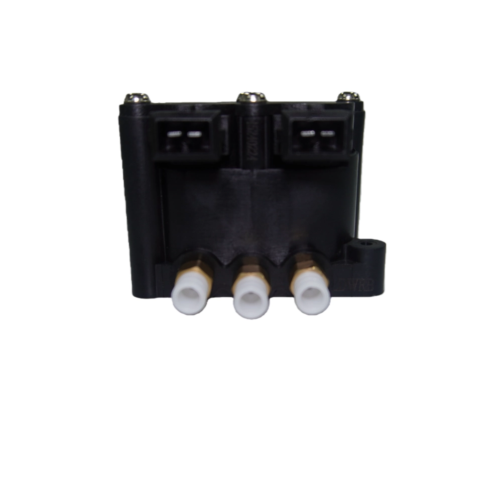 BMW E53 air distribution valve system